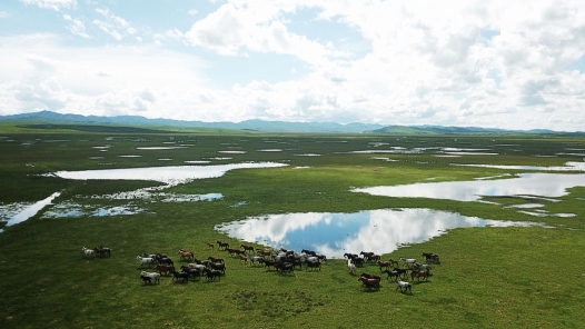 潜移默化中促进了解增进认同