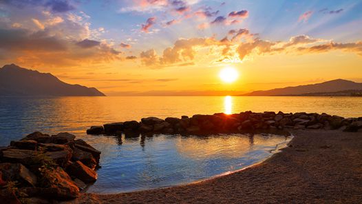 从党史中汲取智慧和力量