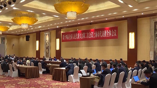 两会同期声｜如何进一步推动新型城镇化？听代表们讲讲家乡经验