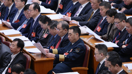 全国政协十四届二次会议举行第二次全体会议