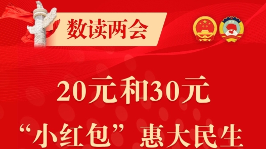 数读两会｜20元和30元 “小红包”惠大民生