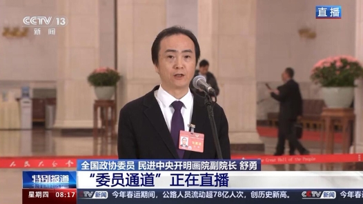 委员通道丨舒勇：打造新时代的国家文化符号 要绵绵用力、久久为功