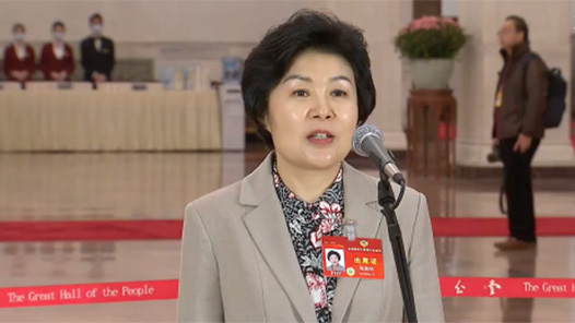 两会速递｜张海华委员：“尔滨现象”为新一年东北老工业基地全面振兴开好头