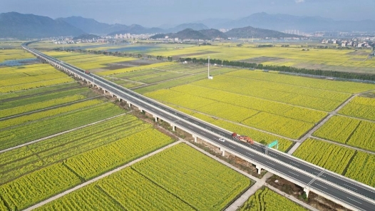 两会镜距离 | 春天的盛会