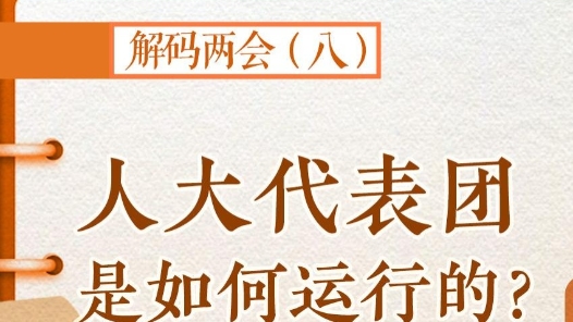 解码两会｜人大代表团是如何运行的？