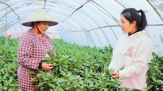 全国人大代表李志娟——争做乡村振兴“领头雁”