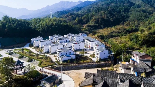 李素环代表：大力改善农村人居环境