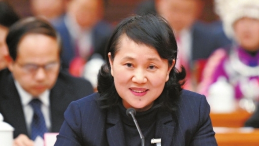 全国人大代表刘文杰：聚焦“三个高地”建设 助力新质生产力发展