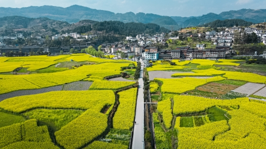 坚持产业兴农、质量兴农、绿色兴农