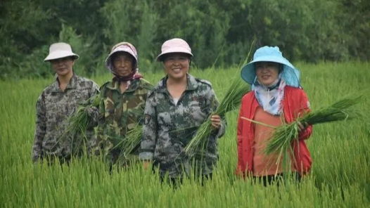 李广丽代表：多措并举助力乡村振兴