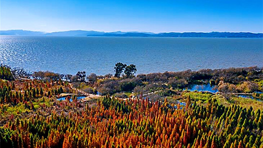 生态环境法典草案今年提请审议