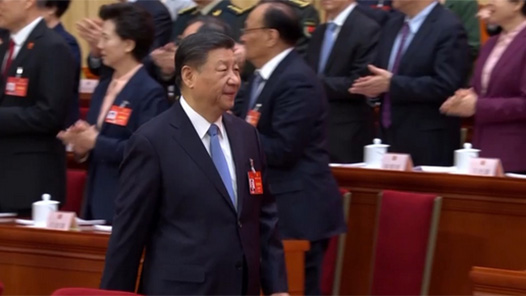 视频｜十四届全国人大二次会议举行第二次全体会议 习近平等党和国家领导人出席