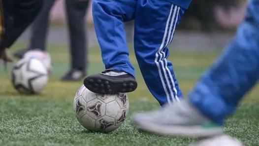 检察机关已起诉足球领域系列腐败案15人