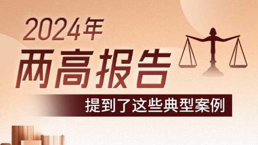 2024年两高报告提到了这些典型案例