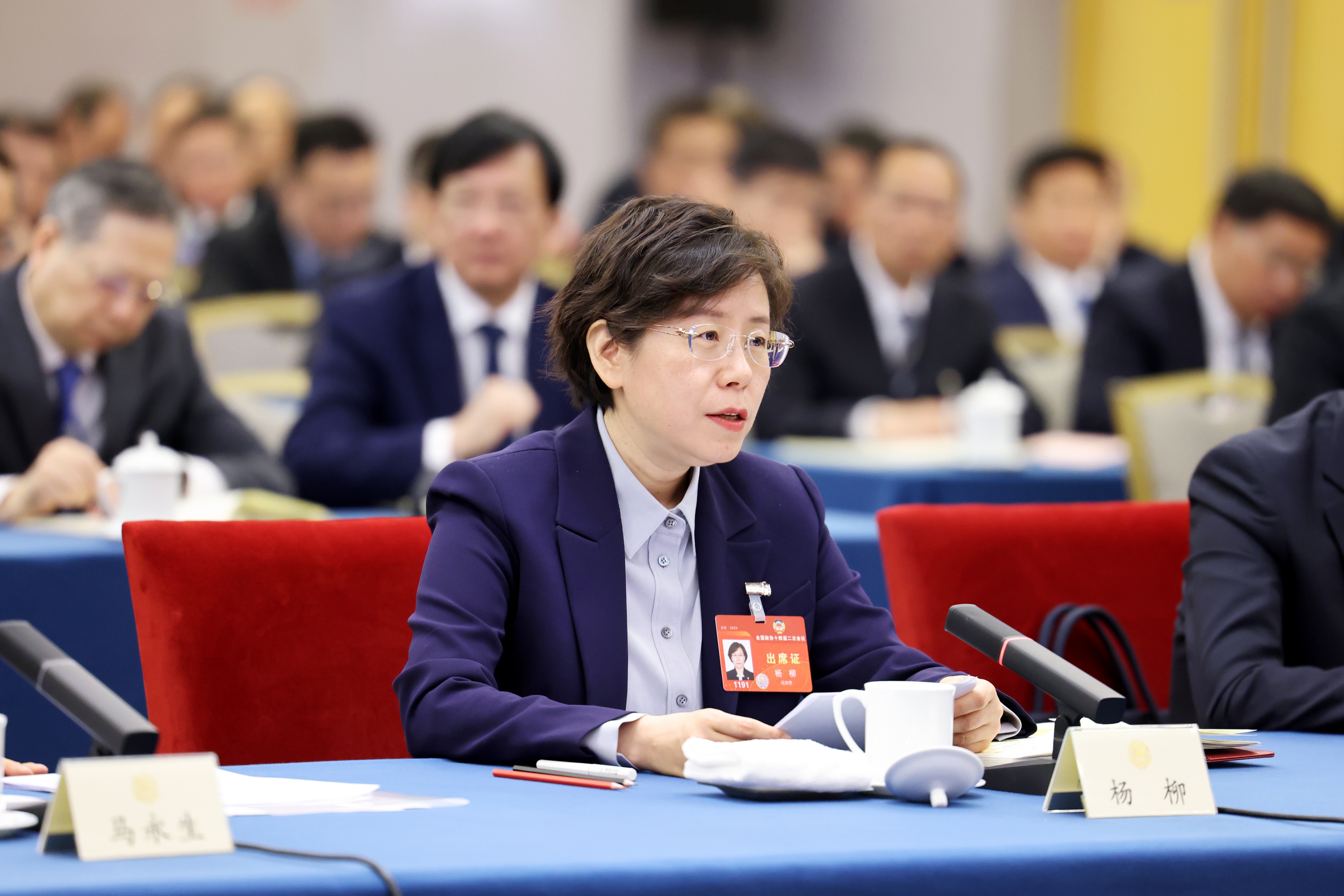 中工网>滚动>正文3月6日,政协委员杨柳在经济,农业界委员联组会上发言