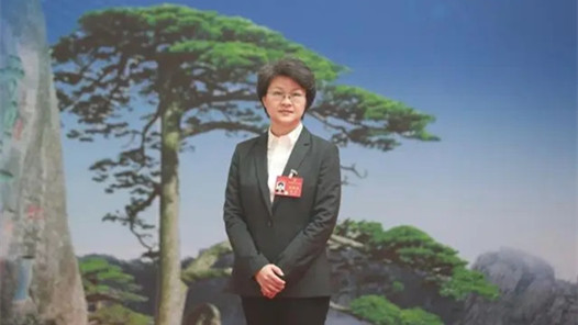 全国人大代表陈军：落实好惠企政策 推动经济良性循环