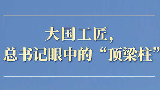 两会第一观察丨大国工匠，总书记眼中的“顶梁柱”