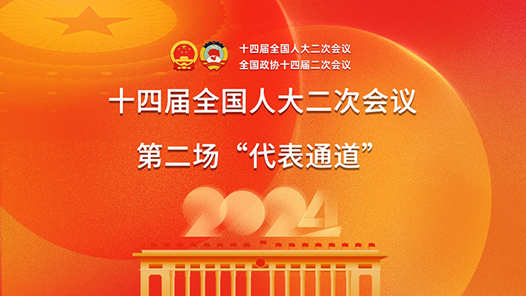 两会好声音丨十四届全国人大二次会议第二场“代表通道”