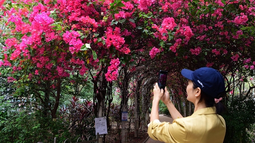 2024年两会将这样影响你的生活