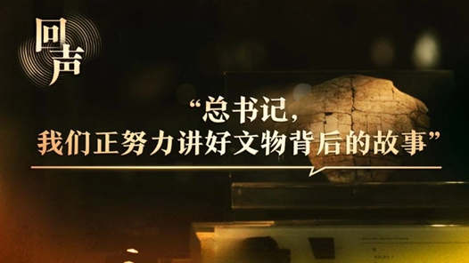 回声丨“总书记，我们正努力讲好文物背后的故事”