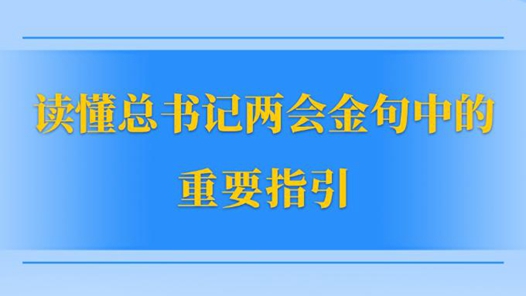 两会第一观察丨读懂总书记两会金句中的重要指引