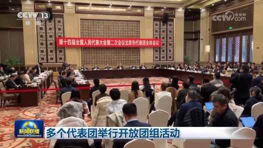 多个代表团举行开放团组活动