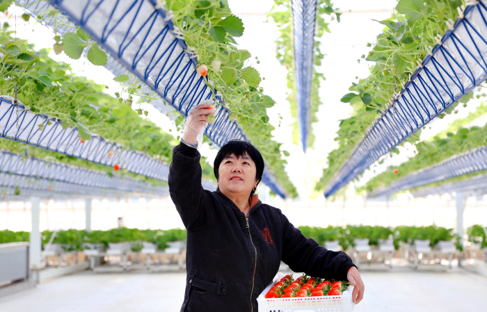 QQ截图20240310102727 QQ截图20240310102727