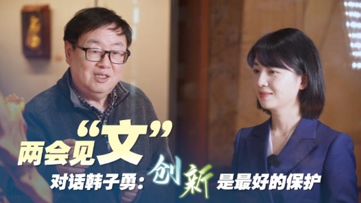 两会见“文”｜对话韩子勇：创新是最好的保护
