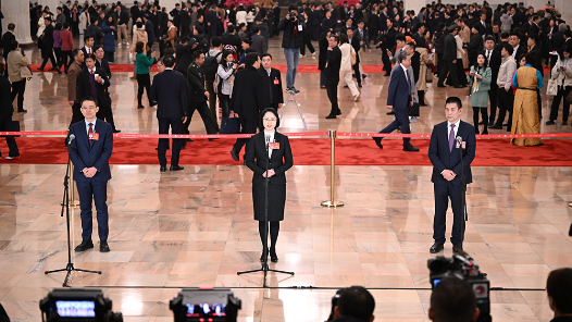 第三场委员通道：融入国家发展大局，“爱拼才会赢”