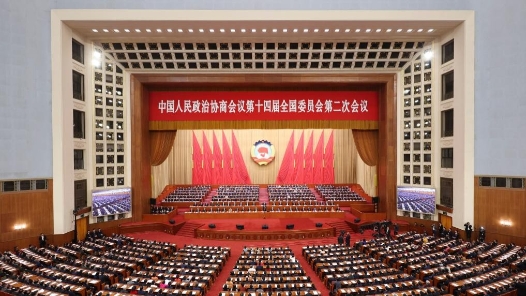 视频｜全国政协十四届二次会议举行闭幕会 习近平等党和国家领导人出席