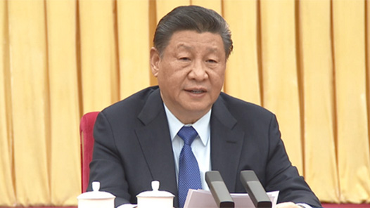 新华社记者说｜今年两会，习近平尤为关切这件“新”事