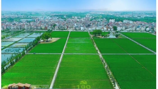 中国两会为世界注入发展信心