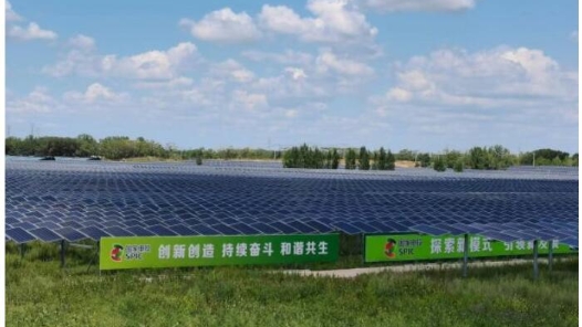 优化协同创新生态