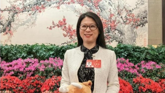 关于加快解决技工院校学生学历问题的建议