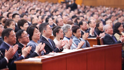 第十四届全国人民代表大会第二次会议关于政府工作报告的决议