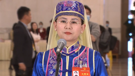 代表通道丨马秀英：迷彩绿、消防橙、警察蓝、志愿红绘就了抗震救灾的最美色彩