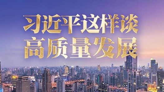 习言道丨习近平这样谈“高质量发展”