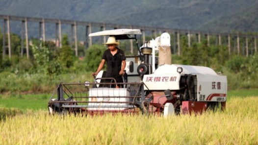 多举措调动粮食主产区生产积极性