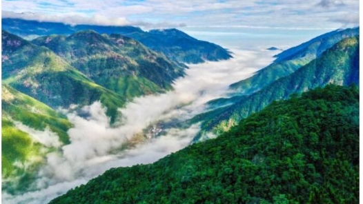 人民论坛：自觉做党的创新理论的笃信笃行者