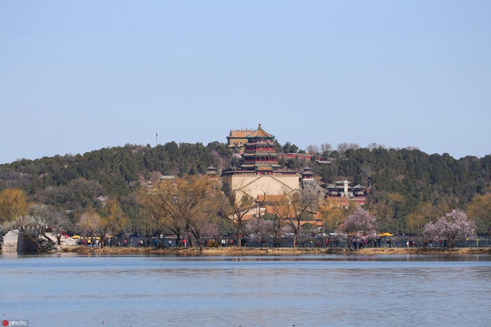 图片7