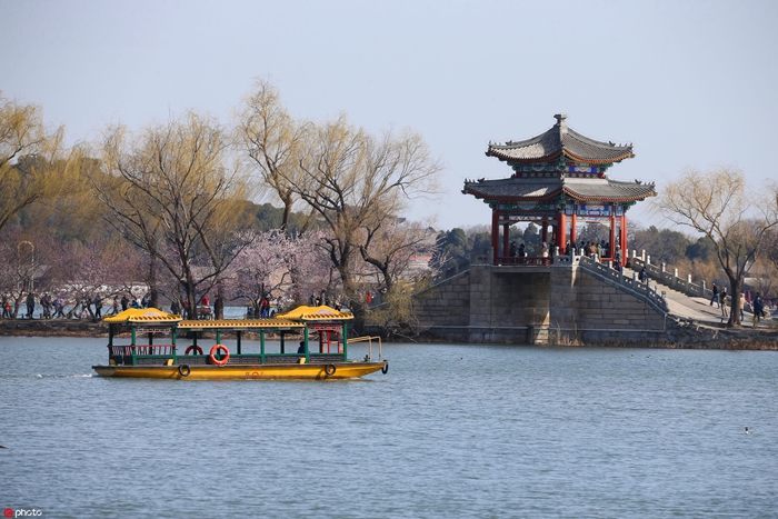 图片8