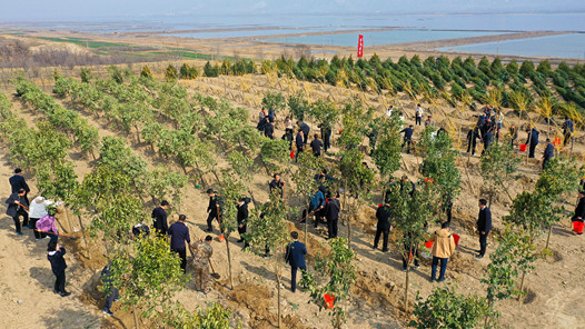 天津市总工会组织劳模义务植树活动