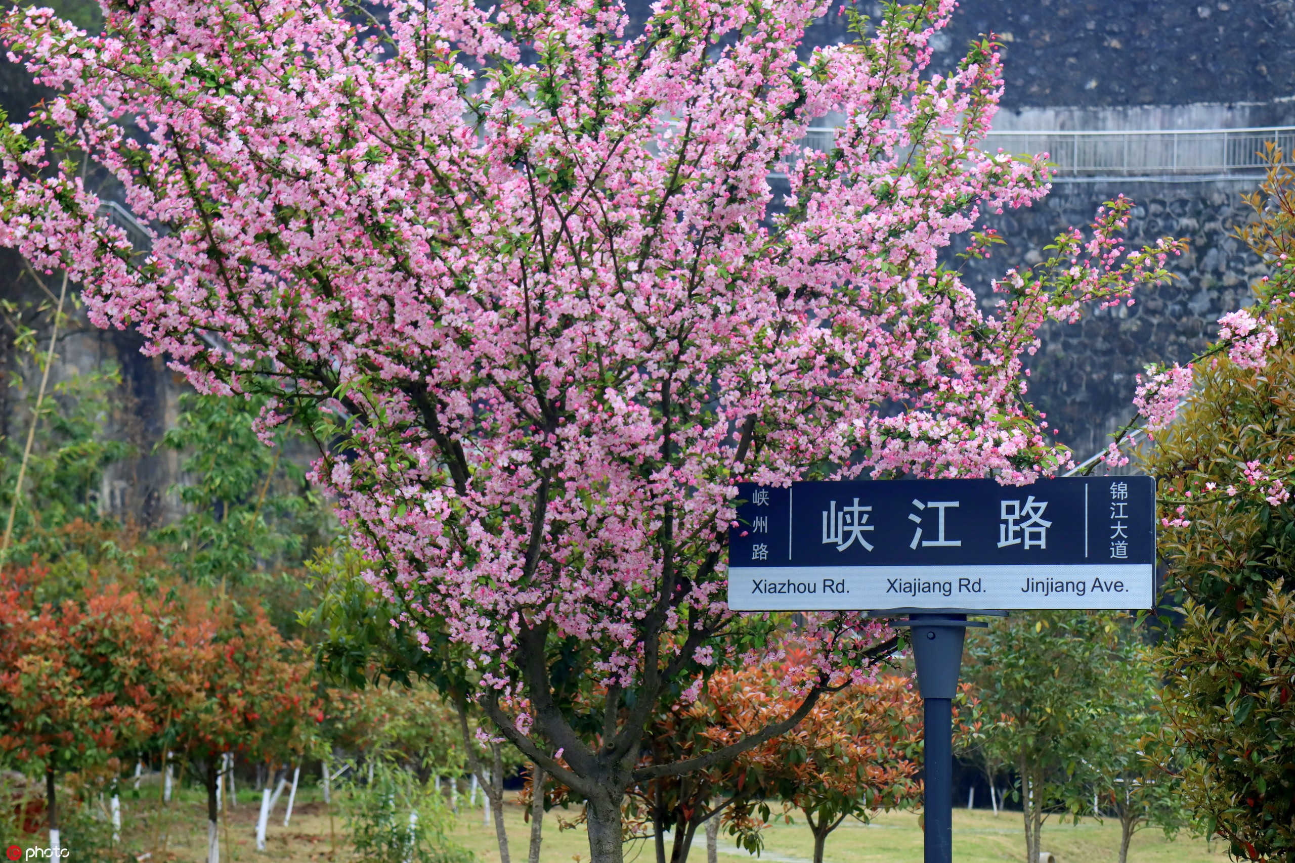 图片2