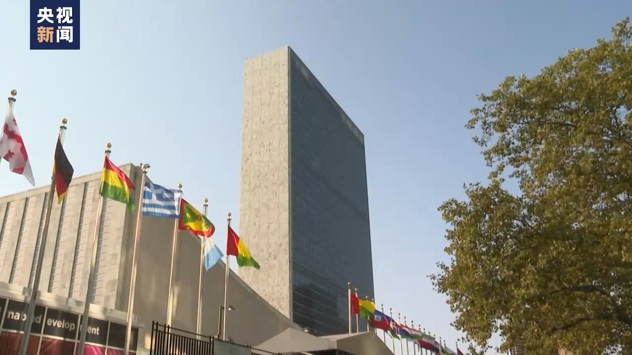 安理会通过加沙停火决议 决议落实是关键 - 国际 - 中工网