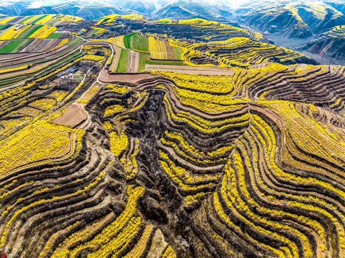 山西运城