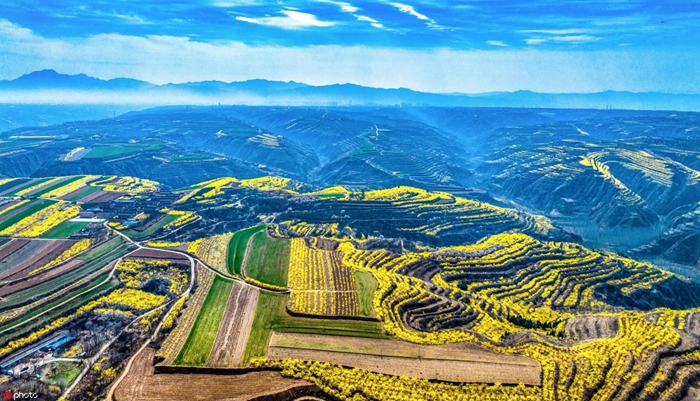 山西运城3