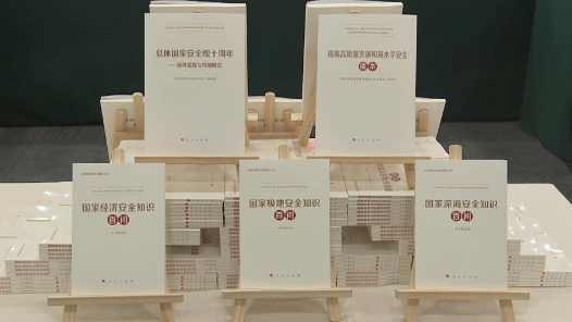 关于国家安全你了解多少？这5本书提高“大安全”意识