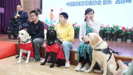 北京市盲人学校举行国际导盲犬日公益活动