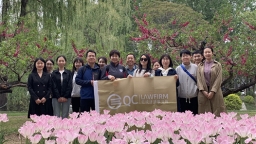 北京乾成律师事务所知识产权业务部