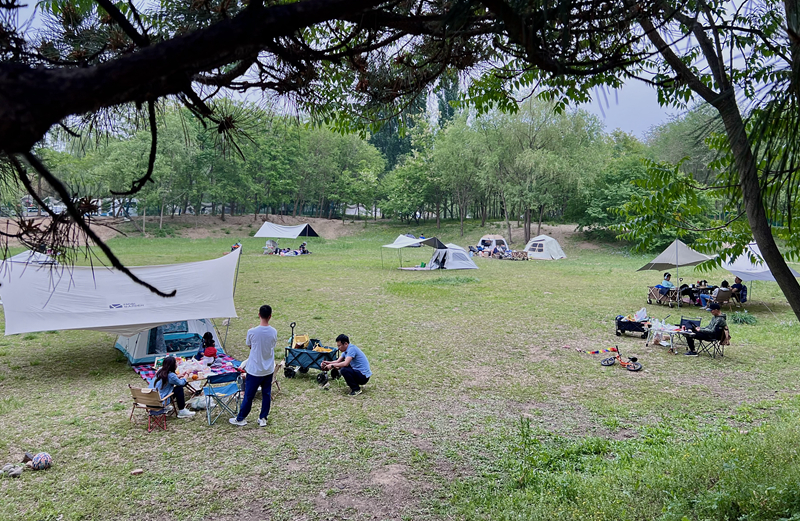 “自驾+露营”等多元形状受热捧。东谈主民网记者 王连香摄